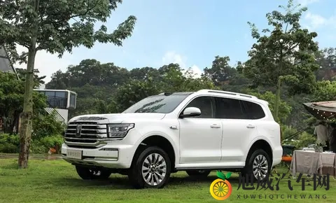 谁才是国内“越野一哥”？坦克、方程豹、猛士10月销量出炉-2