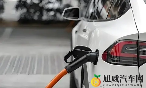 电车鄙视链真相:30万年薪的人买油车,300万年薪的人开电车-2