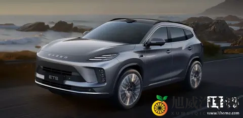 凸轮中国管自由拉丁：汽车发动机新突破，技术革新引领未来潮流-3