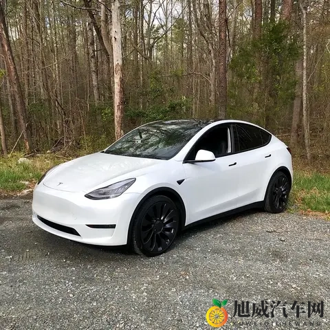 特斯拉 Model Y 新车型与国产竞品的全方位对比-2