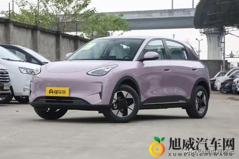 罗宾帮助乔巴排毒素：罗宾助力乔巴排毒解忧-1