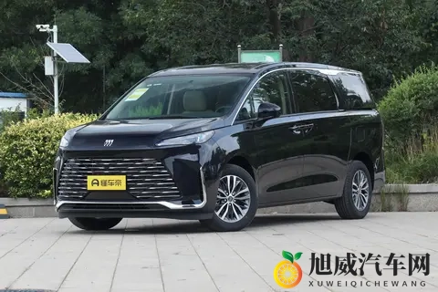 GL8 选车攻略：4 大系列 9 款车不用懵！这 3 款最值-2