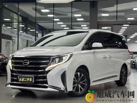 23款传祺M8，一手车源5万公里，宜商宜家，省下大几万！-1