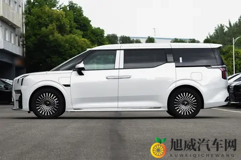 极氪 009 太懂人心！白天接客户撑场面，晚上秒变带娃移动城堡-2