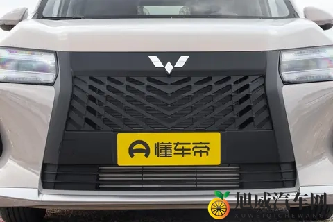 768万起真7座家用MPV，星光730表现均衡值得关注-2