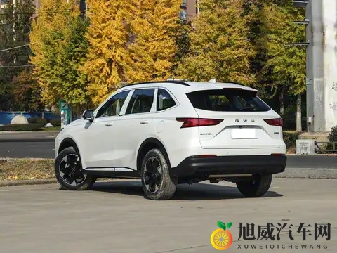 10万级燃油王者！长轴版哈弗H6即将上市，定位中型SUV，搭载20T-1