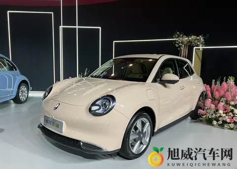 靠欧拉5这款纯电SUV，长城欧拉能不能翻盘？-3