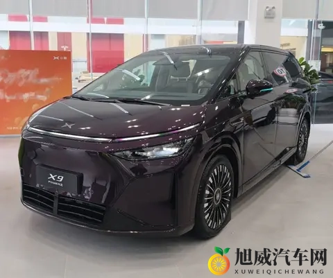 久久这里只有精品6:豪华轿车、SUV、新能源,三款车必看!-2