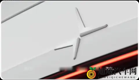 极星汽车简史（上）：北欧「特斯拉」？极星为啥卖不动了-1