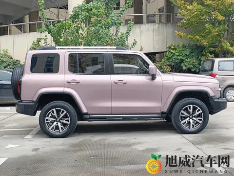 14万多拿下硬派越野！22年坦克300，圆你诗和远方-3