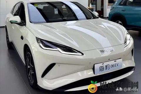 深度推算：比亚迪海豹06Ev成本7万，卖11万，经销商亏本的原因！-1