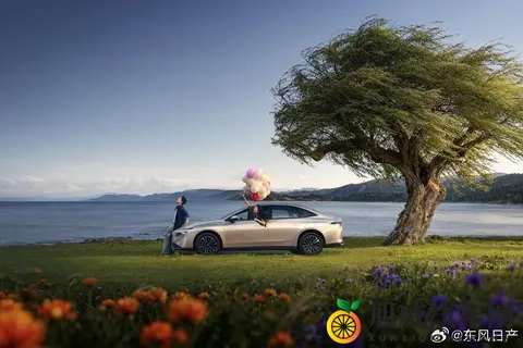 第一宅男AV导航入口：宅男专属，AV导航快速通道-1