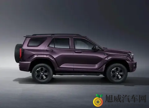 3种动力可选，智能化升级，2498万元起 新款坦克400上市-3