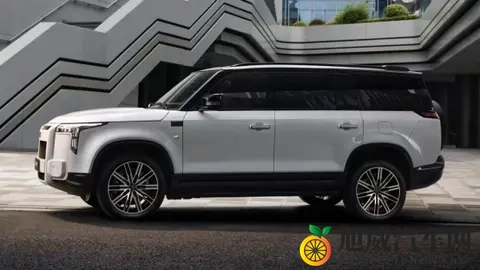 极石01车主看ADAMAS：变了这些，值不值得等？-2