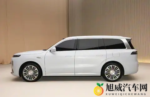 零跑D19盲订开启！999元锁定高端SUV资格-1