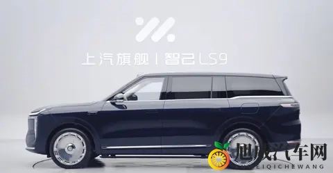 上汽旗舰智己LS9到店，销售直言光是维持秩序就已拼尽全力-2