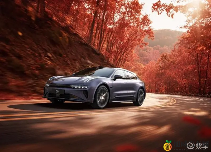 男人和女人对肌：肌肉车魅力大揭秘：男女车主喜好大不同-2