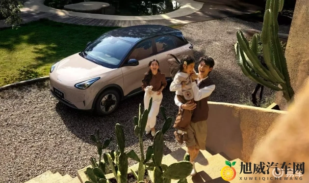 按摩师又粗又大高潮了：科技新宠，汽车品牌力作解析：动力、智能、豪华一应俱全-1