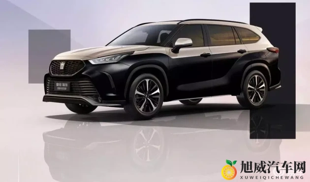 罗宾帮助乔巴排毒素：汽车保养新招：轻松排出毒素，提升动力-2