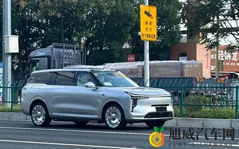 智己LS9街头偶遇记-2