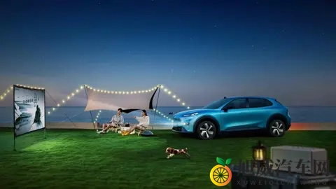 月销20000！销量直线上涨，究竟有何魅力？媲美理想L6仅售11万多-3