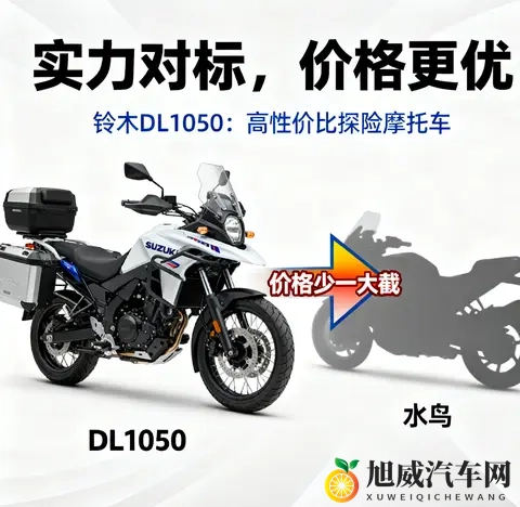 实力不输水鸟 价格少一大截 聊聊铃木DL1050这匹孤狼-3