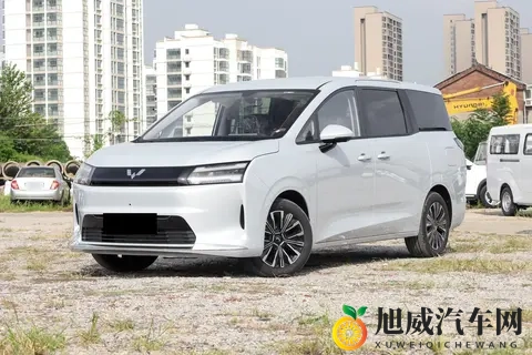 五菱星光730，11月上市！738万起带侧滑门，传祺M6慌吗？-1