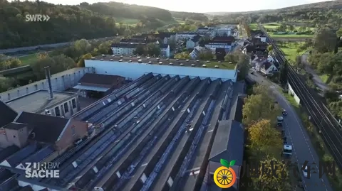 “德国正躺在燃油车的功劳簿上睡大觉”，供应商开始破产倒闭-2