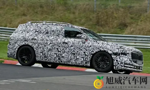 在“霸气”与“硬气”间:奥迪霍希首款SUV旗舰选择了“和气”!-2