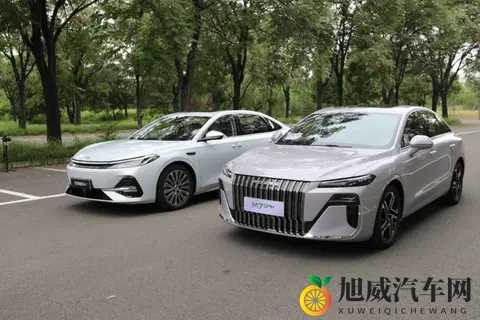 2025十万级混动车精选 高性价比 _ 优选 混动轿车指南-2