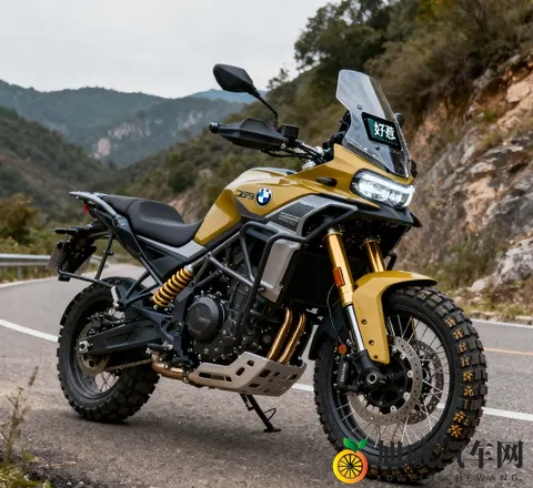 摩托成精了 无极DS900X杀疯 进隧道自开灯 5万2带宝马芯全套摩旅装备-1