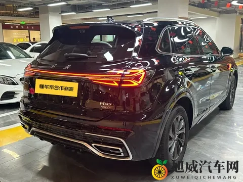 1188万拿下准新红旗HS5，家用SUV新选择？-3