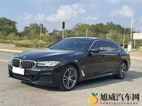 一手准新宝马5系，20T也能优雅从容，宜商宜家！-3