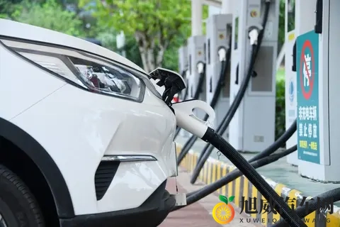 黄色成人app:成人内容下载平台推荐-1