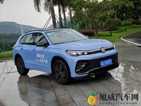 为什么VW家的高饱和度、鲜艳的广告色车，往往都是滞销的？-2