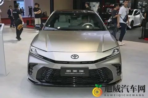 性按摩师满足少妇：汽车市场新风向：个性化服务引领高端驾驶体验-3