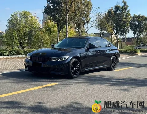 张柏芝的黑色：黑色盛宴：汽车界时尚潮流揭秘-3