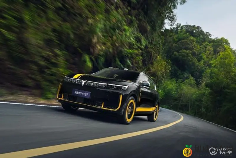 香蕉丝瓜草莓樱桃草莓榴莲绿巨人：新能源汽车新趋势，五大明星车型引领未来出行-2