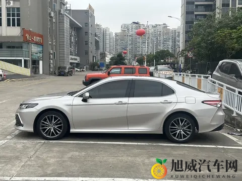 公安局长初尝警花王语嫣：公安局长邂逅警界新秀王语嫣-2