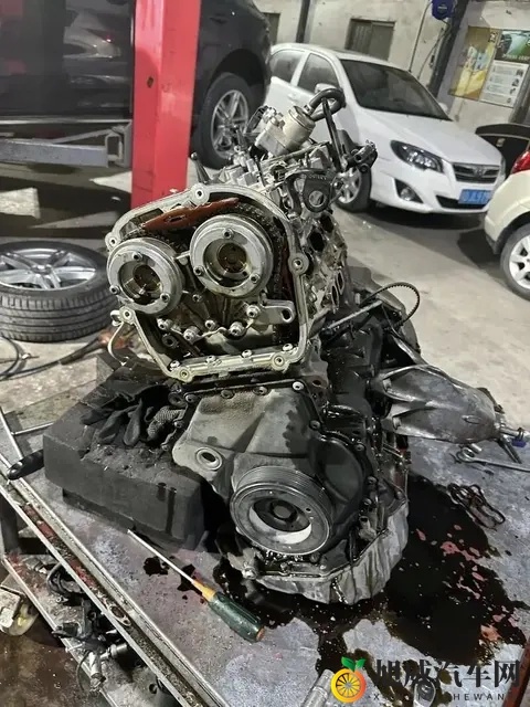 油车才是主宰，电车20年后会消失？车主的真实想法很现实-2