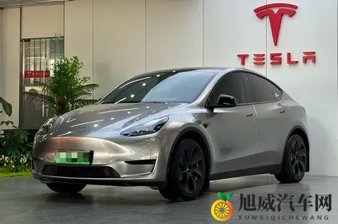 23年Model Y，香槟色颜值担当，16万+圆你电车梦！-3