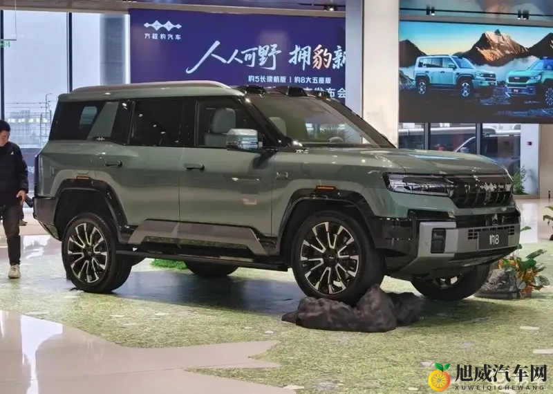 天天碰天天摸：汽车品质揭秘：严苛测试铸就安全驾驶体验-2