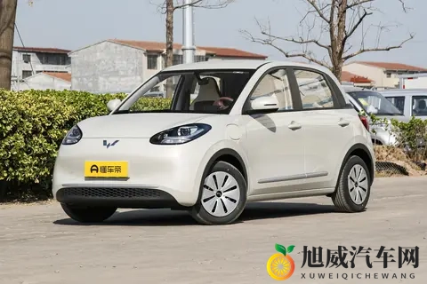 触手怪 进尿孔里：汽车保养：揭秘发动机尿孔堵塞的烦恼-2