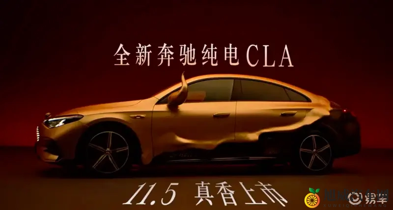 蝌蚪窝一个释放的平台：探索梦想的孵化地，自由展现的舞台-1