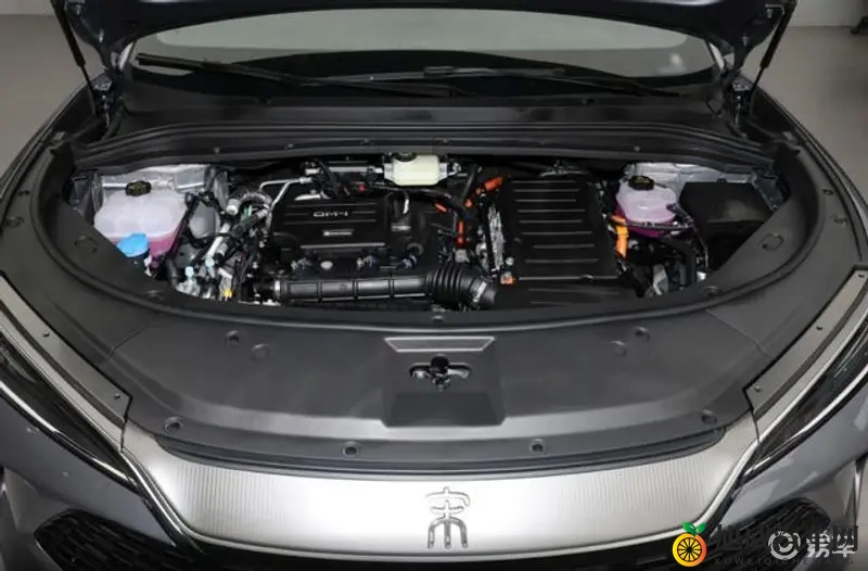 怎么下载黄色软件?：如何合法下载成人应用？-1