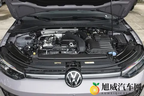 大众朗逸Pro下线， 两种前脸设计，隐藏式门把手_电子怀挡，会火吗-2