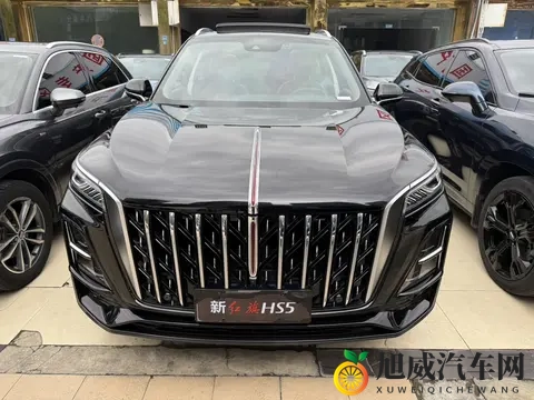 一手准新红旗HS5，11万多体验国产豪华SUV-2