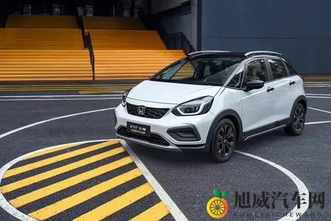 市场很热闹，用户更务实！如何看待争议之下的“飞度现象”-2