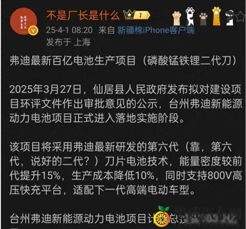 比亚迪电池杀疯了，三元锂慌了，行业要变天-1