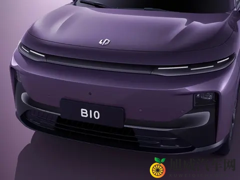 纯电or增程?老车主说-1